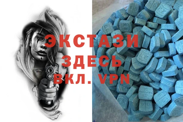 шишки Богородицк
