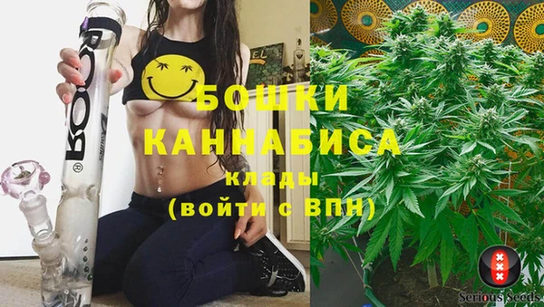 дурь Рославль