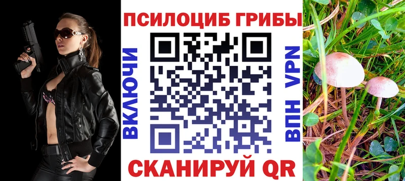 купить закладку  Свободный  ссылка на мегу вход  Галлюциногенные грибы прущие грибы 