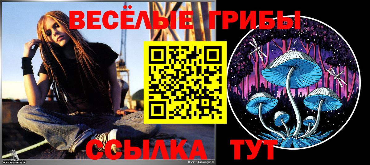 Галлюциногенные грибы MAGIC MUSHROOMS Свободный