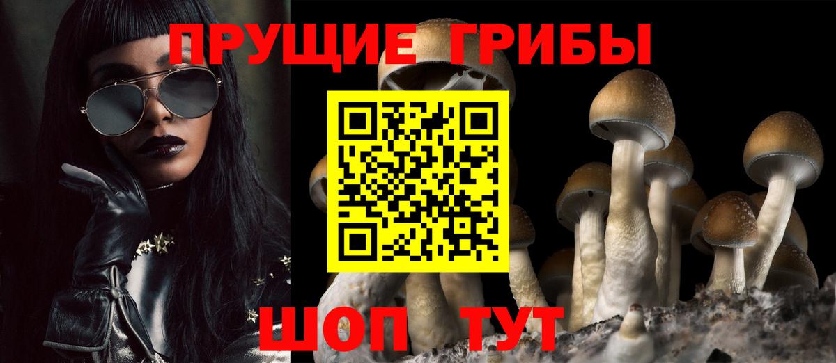 Галлюциногенные грибы GOLDEN TEACHER  Вход с VPN  Псилоцибиновые грибы мухоморы  Свободный 